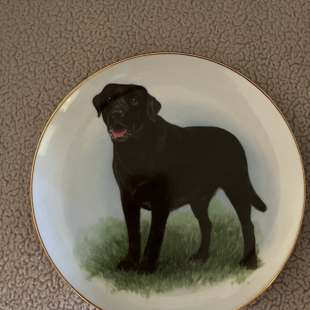 Labrador Retriever decorative plate